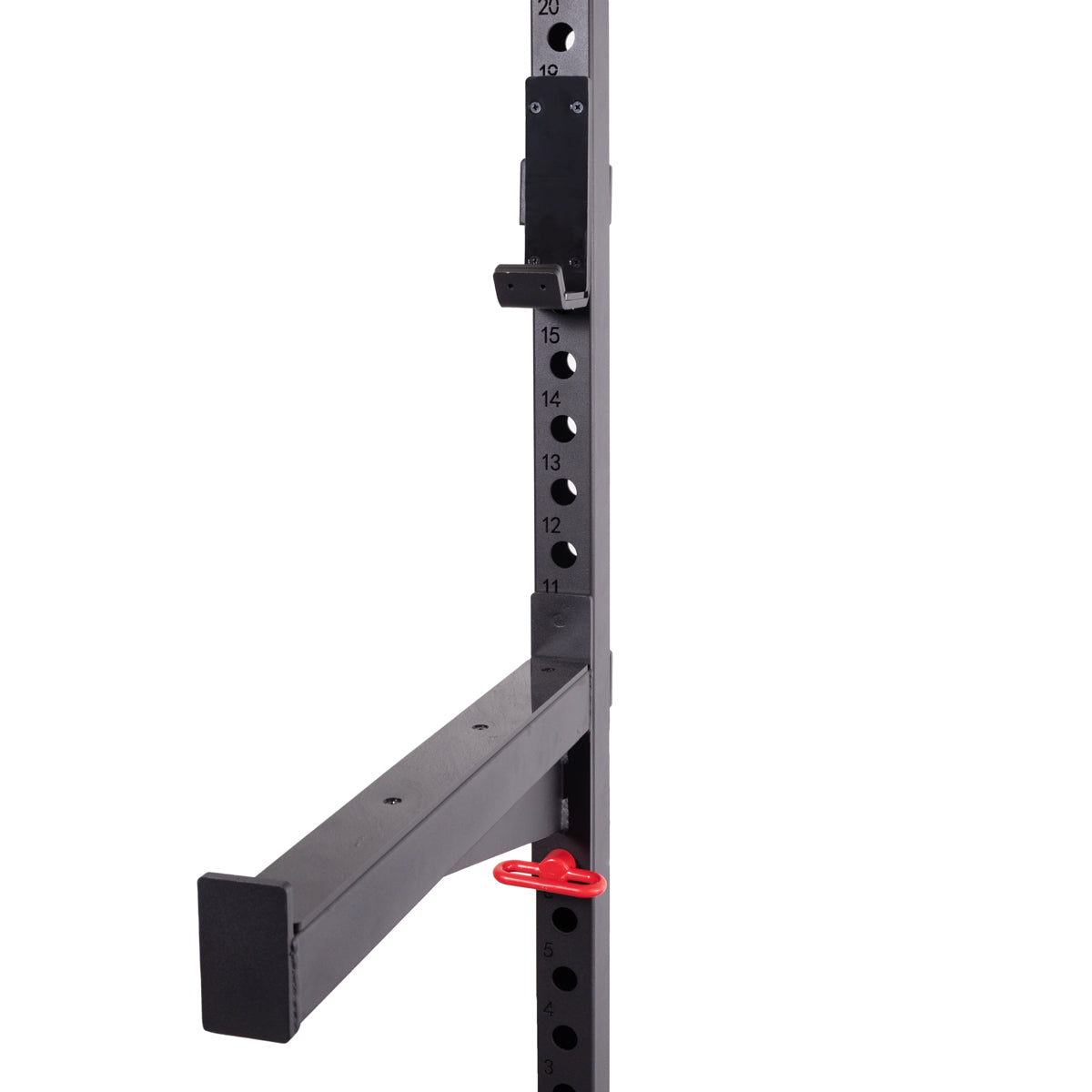 Rack de entrenamiento Basic