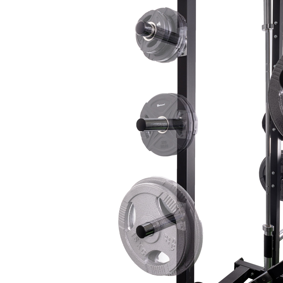 Rack de entrenamiento +